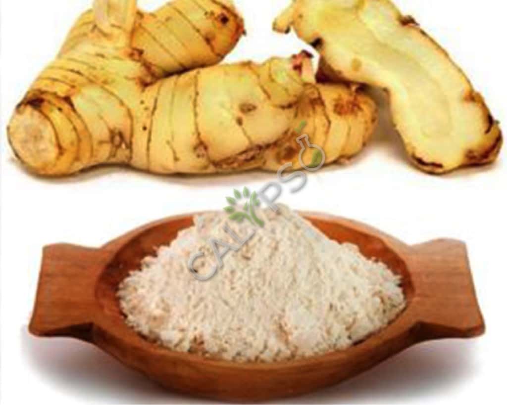 Galangal natuurlijke etherische olie